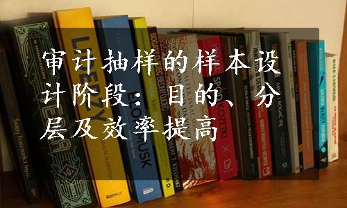 审计抽样的样本设计阶段：目的、分层及效率提高