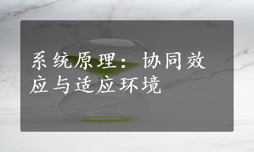 系统原理：协同效应与适应环境