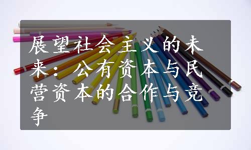 展望社会主义的未来：公有资本与民营资本的合作与竞争