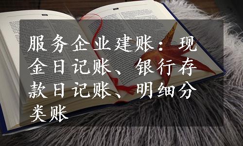 服务企业建账：现金日记账、银行存款日记账、明细分类账