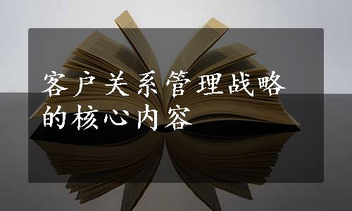 客户关系管理战略的核心内容