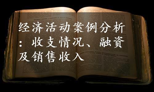 经济活动案例分析：收支情况、融资及销售收入