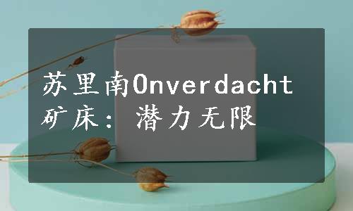 苏里南Onverdacht矿床: 潜力无限