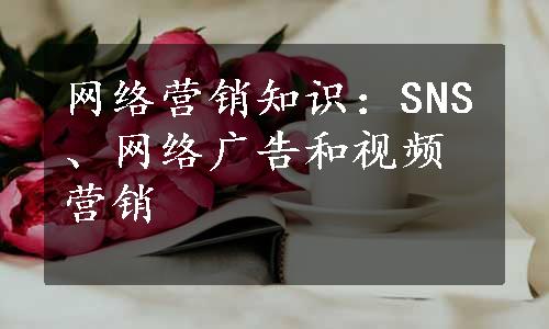 网络营销知识：SNS、网络广告和视频营销