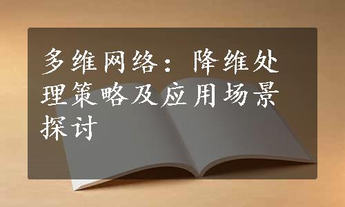 多维网络：降维处理策略及应用场景探讨