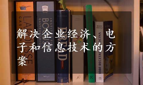 解决企业经济、电子和信息技术的方案