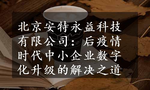 北京安特永益科技有限公司：后疫情时代中小企业数字化升级的解决之道