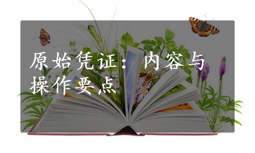 原始凭证：内容与操作要点