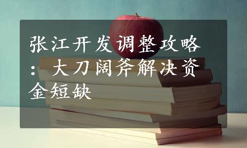 张江开发调整攻略：大刀阔斧解决资金短缺