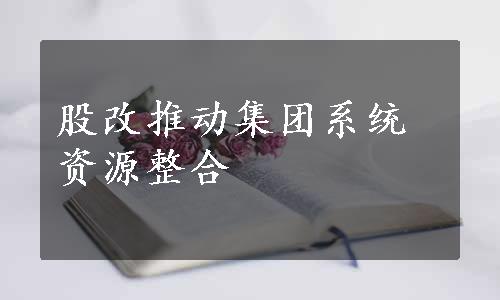 股改推动集团系统资源整合