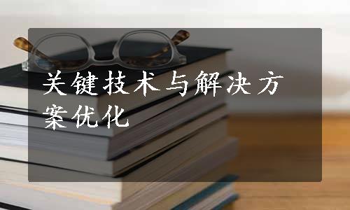 关键技术与解决方案优化