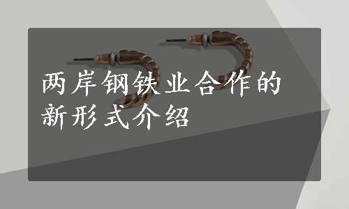 两岸钢铁业合作的新形式介绍