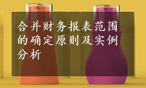 合并财务报表范围的确定原则及实例分析