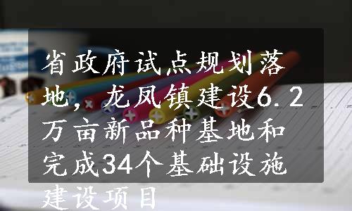 省政府试点规划落地，龙凤镇建设6.2万亩新品种基地和完成34个基础设施建设项目