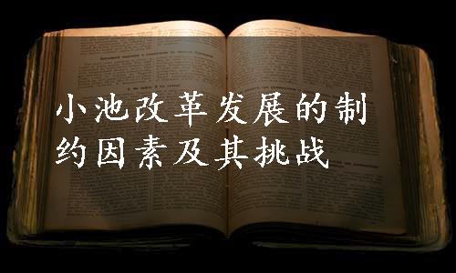 小池改革发展的制约因素及其挑战