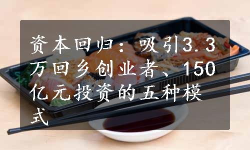 资本回归：吸引3.3万回乡创业者、150亿元投资的五种模式