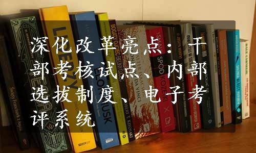 深化改革亮点：干部考核试点、内部选拔制度、电子考评系统