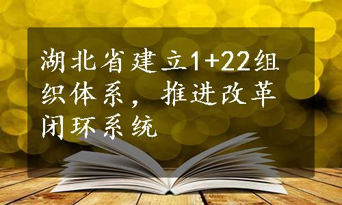 湖北省建立1+22组织体系，推进改革闭环系统