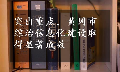 突出重点，黄冈市综治信息化建设取得显著成效