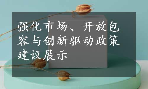 强化市场、开放包容与创新驱动政策建议展示
