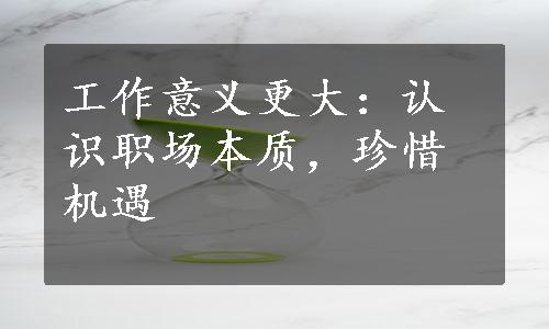 工作意义更大：认识职场本质，珍惜机遇