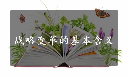 战略变革的基本含义