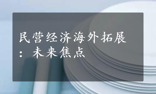 民营经济海外拓展：未来焦点