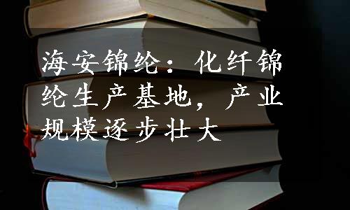 海安锦纶：化纤锦纶生产基地，产业规模逐步壮大