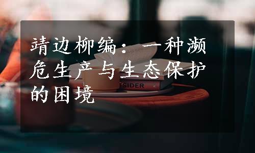 靖边柳编：一种濒危生产与生态保护的困境