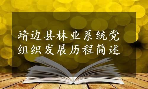 靖边县林业系统党组织发展历程简述