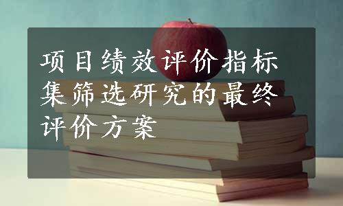 项目绩效评价指标集筛选研究的最终评价方案