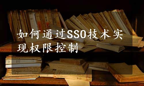 如何通过SSO技术实现权限控制