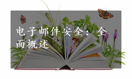 电子邮件安全：全面概述