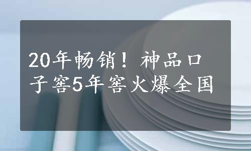 20年畅销！神品口子窖5年窖火爆全国