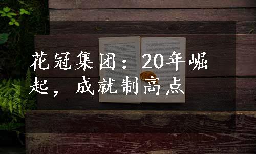 花冠集团：20年崛起，成就制高点