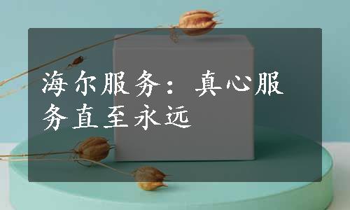 海尔服务：真心服务直至永远