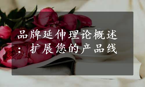 品牌延伸理论概述：扩展您的产品线