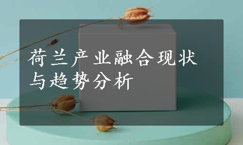 荷兰产业融合现状与趋势分析