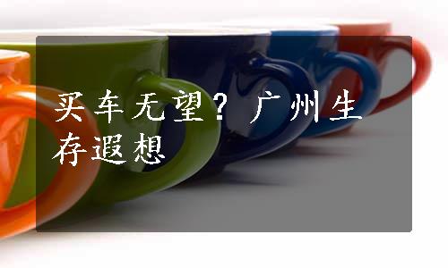 买车无望？广州生存遐想