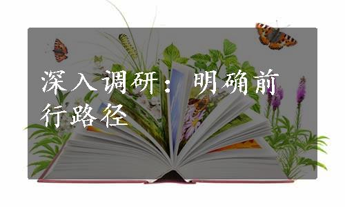 深入调研：明确前行路径