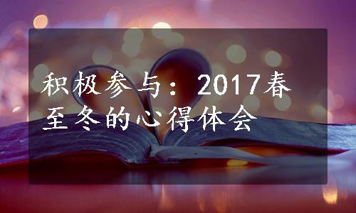 积极参与：2017春至冬的心得体会