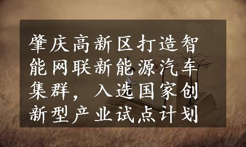 肇庆高新区打造智能网联新能源汽车集群，入选国家创新型产业试点计划