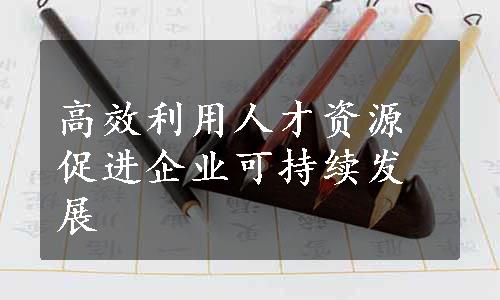 高效利用人才资源促进企业可持续发展