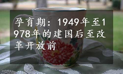 孕育期：1949年至1978年的建国后至改革开放前