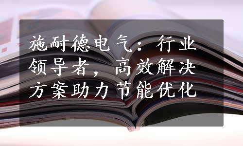 施耐德电气：行业领导者，高效解决方案助力节能优化