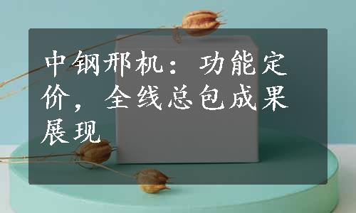 中钢邢机：功能定价，全线总包成果展现