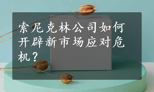 索尼克林公司如何开辟新市场应对危机？