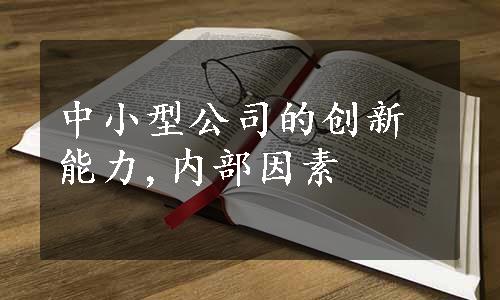 中小型公司的创新能力,内部因素