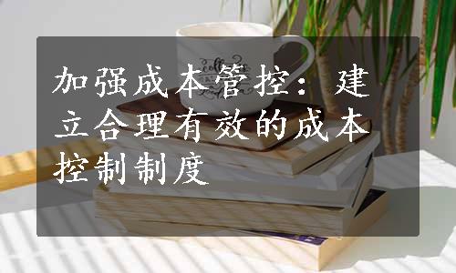 加强成本管控：建立合理有效的成本控制制度