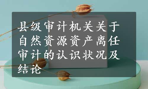 县级审计机关关于自然资源资产离任审计的认识状况及结论